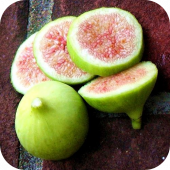 Инжир "Конадрия" Инжир "Конадрия"